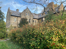 Load image into Gallery viewer, Strawberry Bush - Euonymus americanus